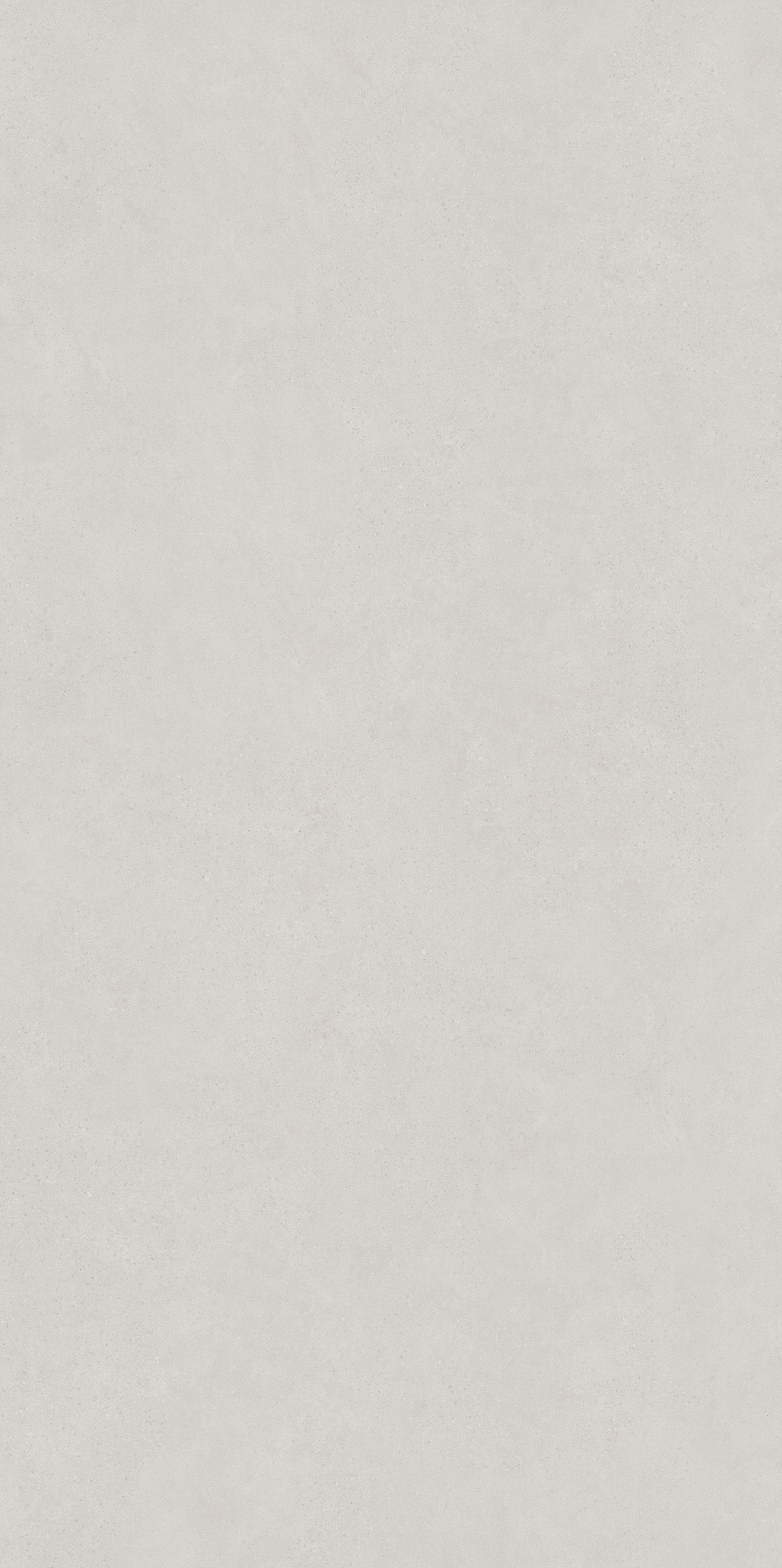 RT91805 加利福尼亞